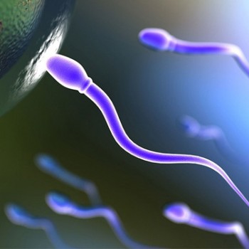Analiza semene tečnosti! Spermokultura i spermogram za 1000rsd!