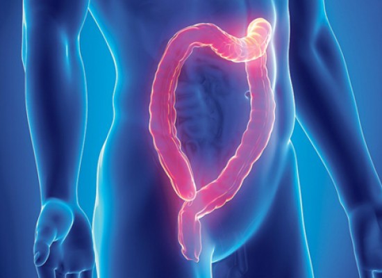 Pregled debelog creva kolonoskopijom u poliklinici na Vracaru! Pregled debelog creva kolonoskopijom u poliklinici na Vracaru!